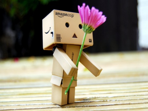 Google Backgrounds Wallpaper on Danbo Wallpapers 480  360   The World Of Pootermobile
